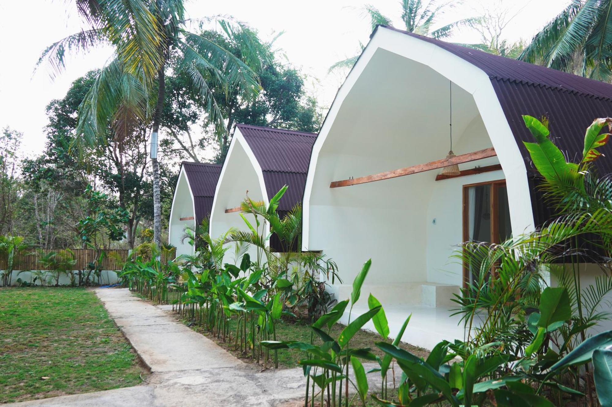 Lodge Jungle